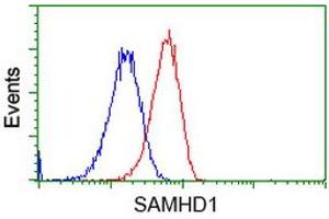 Flow cytometric Analysis of Hela cells, using anti-SAMHD1 antibody (ABIN2453624), (Red), compared to a nonspecific negative control antibody (TA50011), (Blue). (SAMHD1 antibody)
