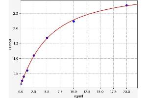 Typical standard curve (FAM20B ELISA Kit)