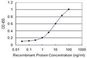 Detection limit for recombinant GST tagged OPA3 is 0. (OPA3 antibody  (AA 103-179))