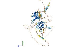 AlphaFold protein structure predicition of Mouse Recombinant C2cd2l Protein, UniprotID Q80X80 (C2CD2L Protein (AA 1-706) (His tag))