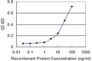 Detection limit for recombinant GST tagged LRRC2 is 1 ng/ml as a capture antibody. (LRRC2 antibody  (AA 272-371))
