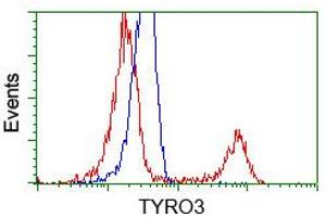HEK293T cells transfected with either pCMV6-ENTRY TYRO3 (RC208260) (Red) or empty vector control plasmid (Blue) were immunostained with anti-TYRO3 mouse monoclonal (ABIN2452233, Dilution 1:1,000), and then analyzed by flow cytometry. (TYRO3 antibody)