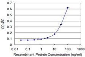 Image no. 4 for anti-Aldehyde Dehydrogenase 4 Family, Member A1 (ALDH4A1) (AA 1-564) antibody (ABIN599053) (ALDH4A1 antibody  (AA 1-564))