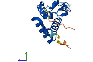 AlphaFold protein structure predicition of Human Recombinant KHDC1L Protein, UniprotID Q5JSQ8