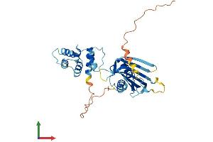 AlphaFold protein structure predicition of Human Recombinant C3orf38 Protein, UniprotID Q5JPI3