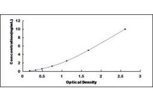 Typical standard curve (Kallikrein 9 ELISA Kit)