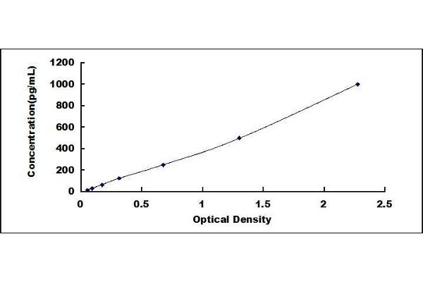 CXCL17 ELISA Kit