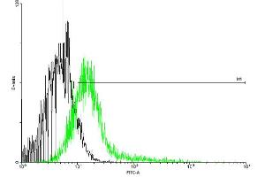 FACS analysis of negative control 293 cells (Black) and IFNGR1 expressing 293 cells (Green) using IFNGR1 purified MaxPab mouse polyclonal antibody. (IFNGR1 antibody  (AA 1-489))