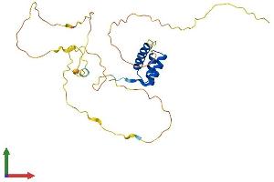 AlphaFold protein structure predicition of Human Recombinant GSX1 Protein, UniprotID Q9H4S2 (GSX1/GSH1 Protein (AA 1-264) (His tag))