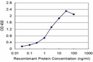 Detection limit for recombinant GST tagged SLC6A20 is approximately 0.