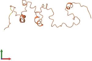 AlphaFold protein structure predicition of Human Recombinant KRTAP4-2 Protein, UniprotID Q9BYR5 (KRTAP4-2 Protein (AA 1-136) (His tag))