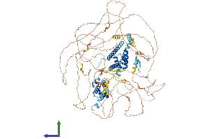 AlphaFold protein structure predicition of Human Recombinant TAF4 Protein, UniprotID O00268 (TAF4 Protein (AA 1-1085) (His tag))