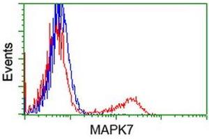HEK293T cells transfected with either RC203506 overexpress plasmid (Red) or empty vector control plasmid (Blue) were immunostained by anti-MAPK7 antibody (ABIN2454054), and then analyzed by flow cytometry. (MAPK7 antibody)
