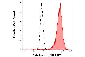Separation of MCF-7 cells stained using anti-Cytokeratin 19 (A53-B/A2) FITC antibody (concentration in sample 3 μg/mL, red-filled) from MCF-7 cells stained using mouse IgG2b isotype control (MPC-11) FITC antibody (concentration in sample 3 μg/mL, same as anti-Cytokeratin 19 FITC antibody concentration, black-dashed) in flow cytometry analysis (surface staining). (Cytokeratin 19 antibody  (FITC))