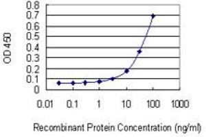 Detection limit for recombinant GST tagged EPAS1 is 1 ng/ml as a capture antibody. (EPAS1 antibody  (AA 28-347))