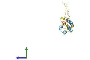 Protein Structure (PS) image for Protein Phosphatase 1, Regulatory (Inhibitor) Subunit 14A (PPP1R14A) (AA 1-147) protein (His tag) (ABIN7550948)