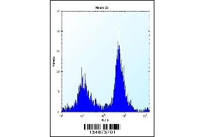 Flow cytometric analysis of Neuro-2a cells (right histogram) compared to a negative control cell (left histogram).