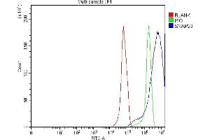 Flow Cytometry analysis of RT4 cells using anti-SNAP23 antibody (ABIN7599089). (SNAP23 antibody  (AA 1-211))