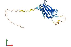 Protein Structure (PS) image for DNA-Damage-Inducible Transcript 4-Like (DDIT4L) (AA 1-193) protein (His tag) (ABIN7547015)
