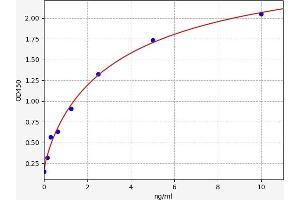 Typical standard curve (STK31 ELISA Kit)