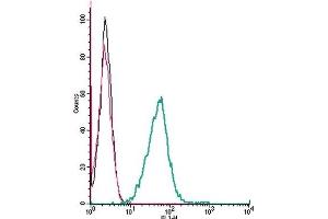 Cell surface detection of EphA1 by indirect flow cytometry in live intact mouse J774 macrophage cells: (black line) Cells. (EPHA1 antibody  (Extracellular, N-Term))