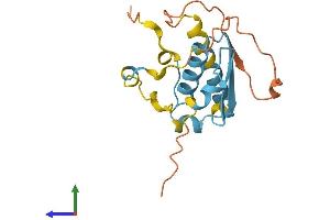 AlphaFold protein structure predicition of Human Recombinant PMS2P3 Protein, UniprotID Q13401 (PMS2P3 Protein (AA 1-168) (His tag))
