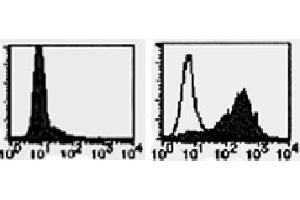 Flow Cytometry (FACS) image for anti-Tumor Necrosis Factor (Ligand) Superfamily, Member 13b (TNFSF13B) antibody (ABIN1449224) (BAFF antibody)