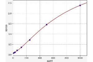 SLC11A2 ELISA Kit