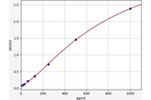 SLC11A2 ELISA Kit