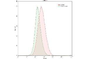 Detection of NSE in HepG2 human hepatocellular carcinoma cell line using Polyclonal Antibody to Enolase, Neuron Specific (NSE) (ENO2/NSE antibody  (AA 2-434))