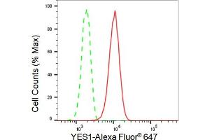 Flow cytometric analysis of YES1 expression in HepG2 cells using YES1 antibody (ABIN7800809), 1:2,000). (Recombinant YES1 antibody)