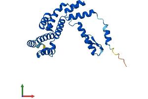 AlphaFold protein structure predicition of Human Recombinant GID8 Protein, UniprotID Q9NWU2