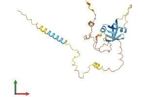 Protein Structure (PS) image for Nuclear Receptor Interacting Protein 2 (NRIP2) (AA 1-270) protein (His tag) (ABIN7561516)