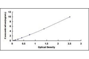 Typical standard curve (TIMP4 ELISA Kit)