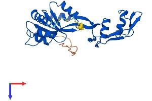 AlphaFold protein structure predicition of Mouse Recombinant Mrto4 Protein, UniprotID Q9D0I8 (C1orf33 Protein (AA 1-239) (His tag))