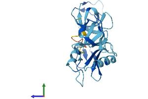 AlphaFold protein structure predicition of Human Recombinant GRAP Protein, UniprotID Q13588 (GRAP Protein (AA 1-217) (His tag))