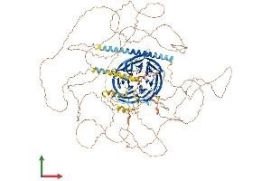 AlphaFold protein structure predicition of Human Recombinant PALB2 Protein, UniprotID Q86YC2 (PALB2 Protein (AA 1-1186) (His tag))