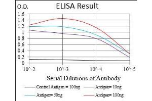 Black line: Control Antigen (100 ng), Purple line: Antigen(10 ng), Blue line: Antigen (50 ng), Red line: Antigen (100 ng), (TIE1 antibody  (AA 385-607))