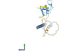 Protein Structure (PS) image for THAP Domain Containing 6 (THAP6) (AA 1-222) protein (His tag) (ABIN7544282)