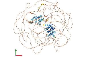 AlphaFold protein structure predicition of Mouse Recombinant Gprasp1 Protein, UniprotID Q5U4C1