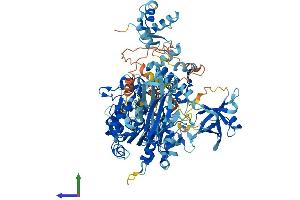 Protein Structure (PS) image for Moloney Leukemia Virus 10 (MOV10) (AA 1-1003) protein (His tag) (ABIN7554585)