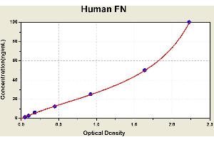 Fibronectin (FN) ELISA Kit