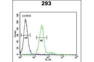 Flow Cytometry (FACS) image for anti-Mast/stem Cell Growth Factor Receptor (KIT) (AA 680-711) antibody (ABIN652376)