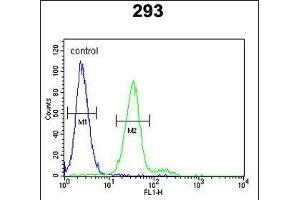 KIT Antibody  g flow cytometric analysis of 293 cells (right histogram) compared to a negative control cell (left histogram). (KIT antibody  (AA 680-711))