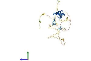 AlphaFold protein structure predicition of Mouse Recombinant Dbx1 Protein, UniprotID P52950