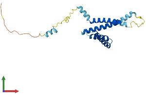 Protein Structure (PS) image for Translocase of Inner Mitochondrial Membrane 22 Homolog (TIMM22) (AA 1-194) protein (His tag) (ABIN7544506)