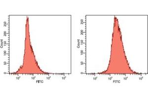 Flow cytometry analysis of human hepatoma QGY cells analyzed by flow cytometry using isotype control antibody (left) or HSP60 antibody (LK-1) (right). (HSPD1 antibody)