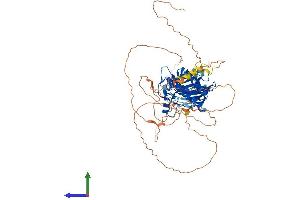 Protein Structure (PS) image for NUAK Family, SNF1-Like Kinase, 2 (NUAK2) (AA 1-628) protein (His tag) (ABIN7554797)