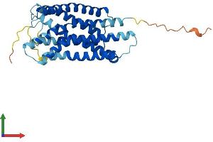 Protein Structure (PS) image for G Protein-Coupled Receptor 35 (GPR35) (AA 1-307) protein (His tag) (ABIN7561463)