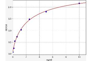 Typical standard curve (CKMT1A ELISA Kit)